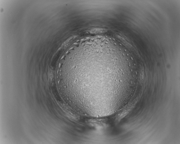 X0000060780367200511241825