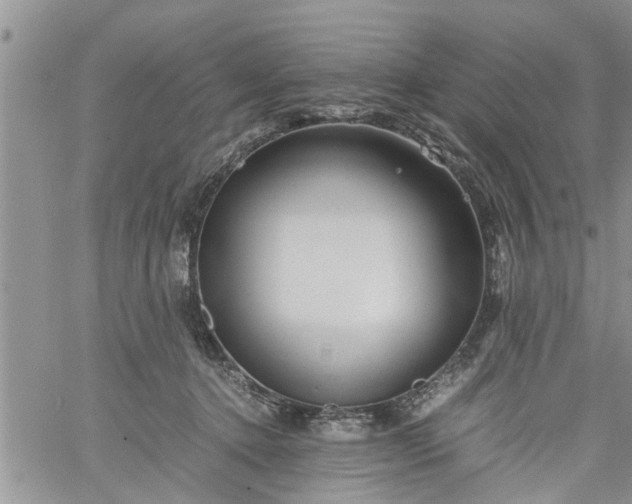 X0000060780368200511241825