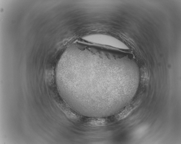 X0000060780369200511241825