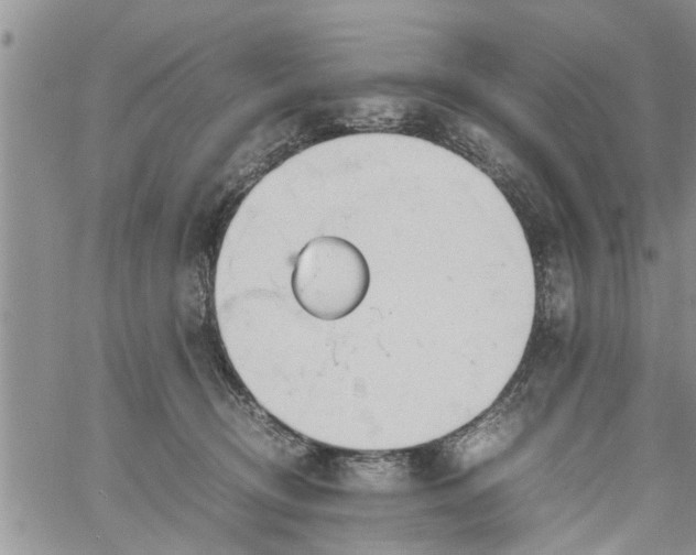 X0000060780370200511241825