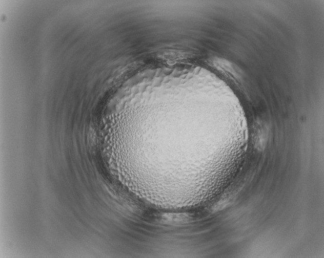 X0000060780371200511241825