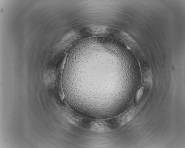 X0000060780372200511241825