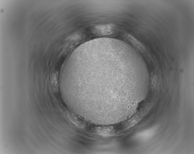 X0000060780373200511241825