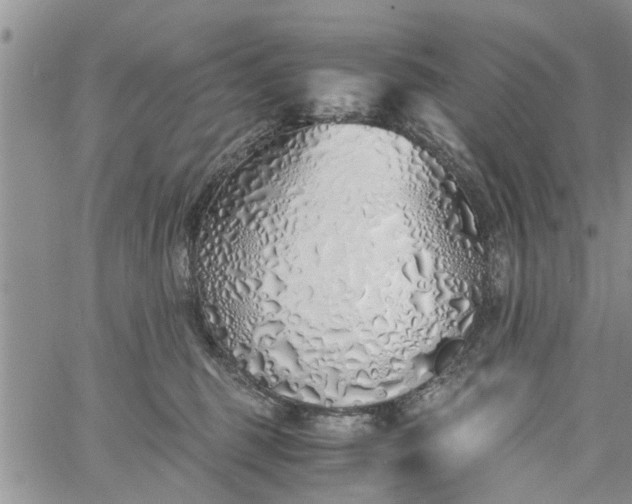 X0000060780375200511241825