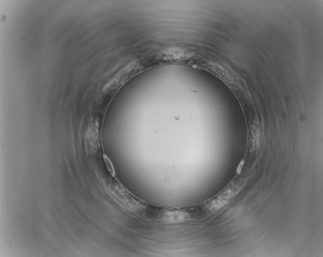 X0000060780376200511241825