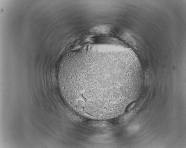 X0000060780377200511241825