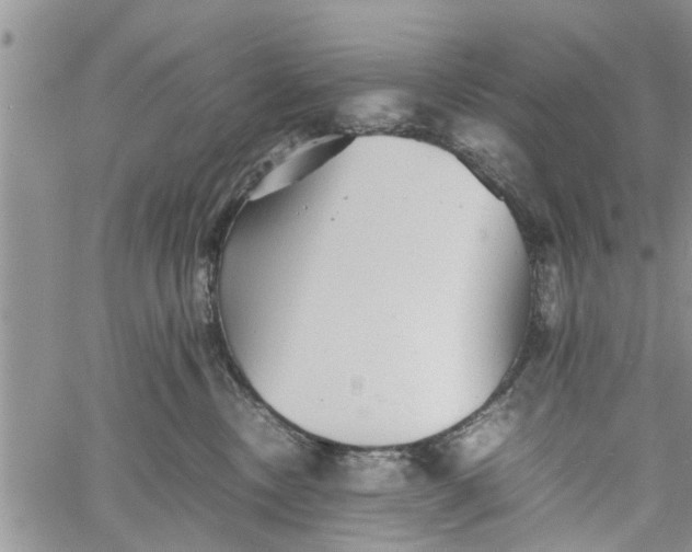 X0000060780378200511241825