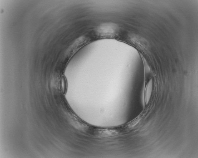 X0000060780379200511241825