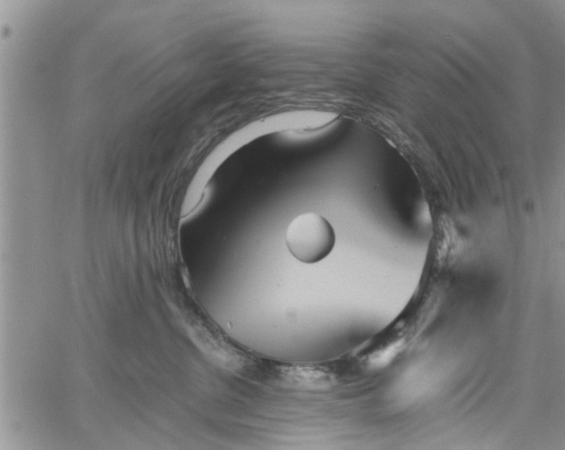 X0000060780380200511241825