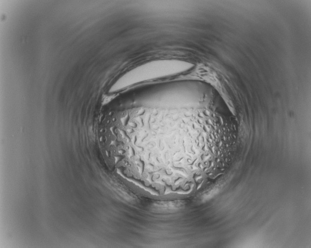 X0000060780381200511241825