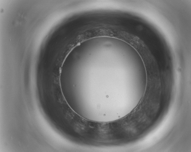 X0000060780382200511241826