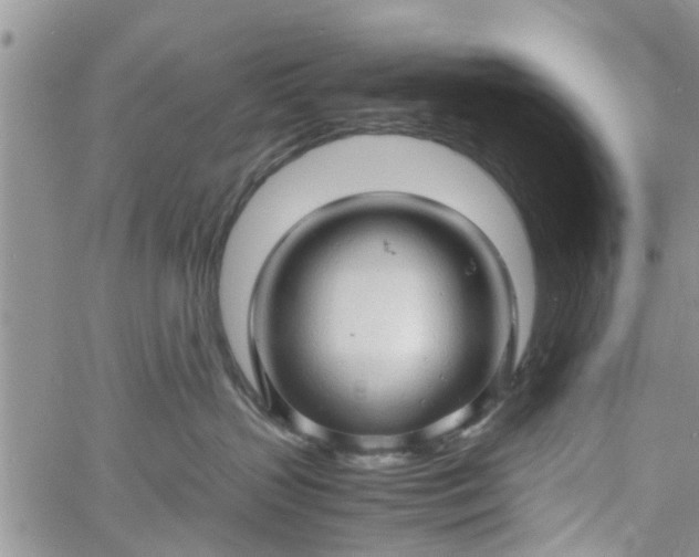 X0000060780383200511241826