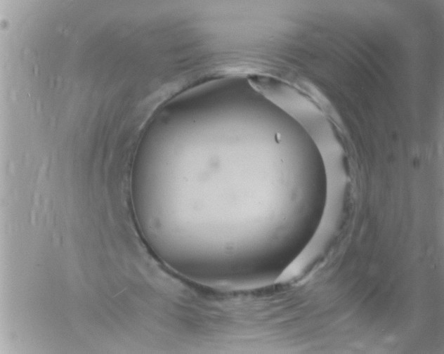 X0000060780385200511241825