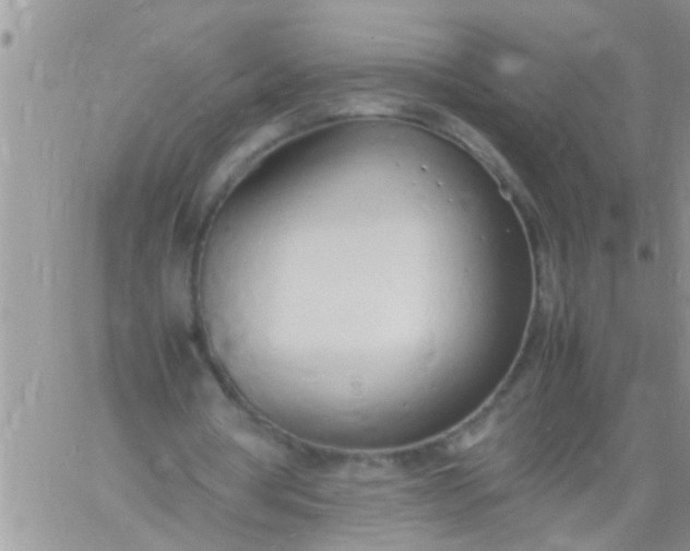 X0000060780386200511241825