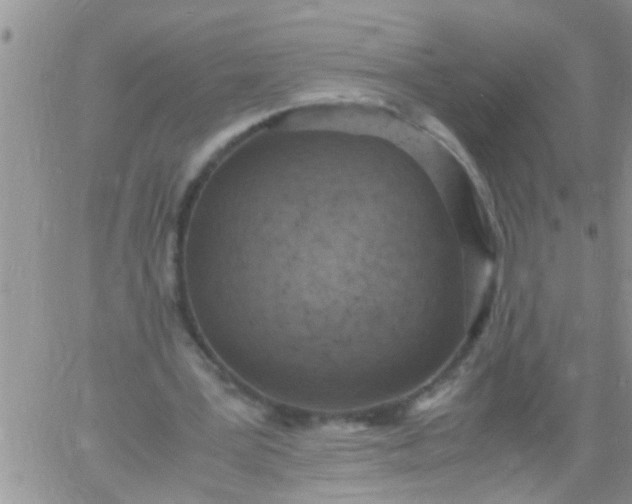 X0000060780387200511241825