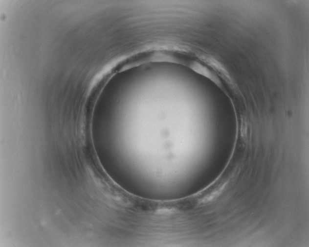 X0000060780388200511241825