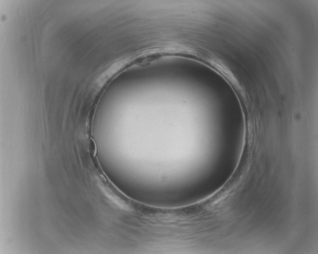 X0000060780389200511241825