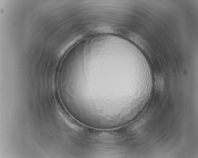 X0000060780390200511241825