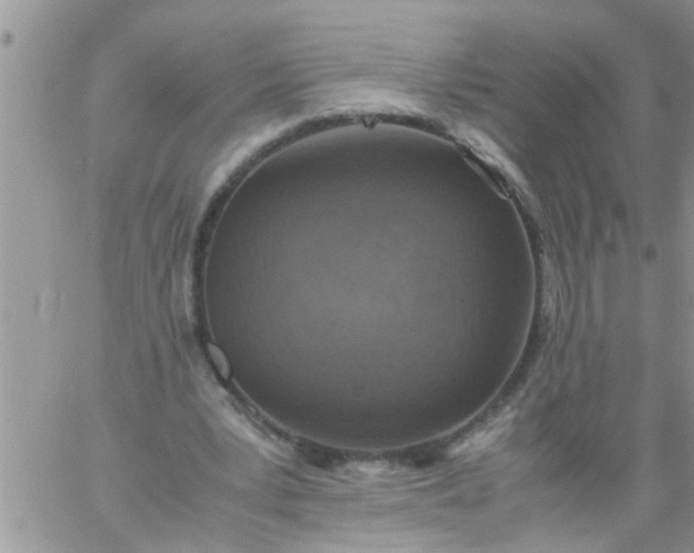 X0000060780391200511241825