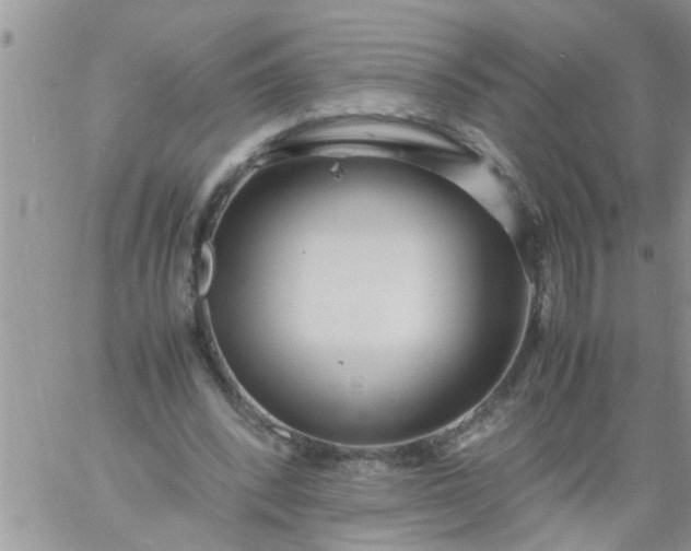 X0000060780392200511241825