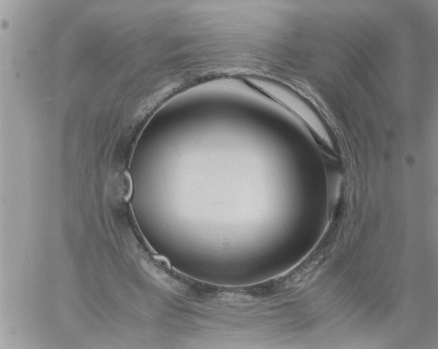 X0000060780393200511241825