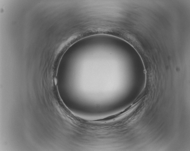 X0000060780395200511241825