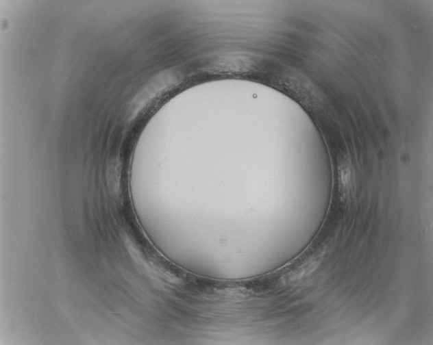 X0000060780396200511241825