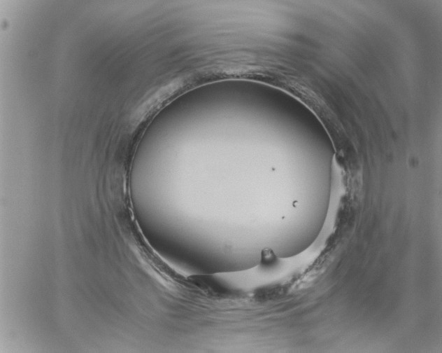 X0000060780397200511241825