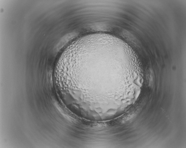 X0000060780398200511241825