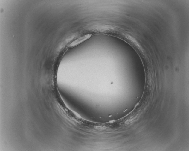 X0000060780399200511241825