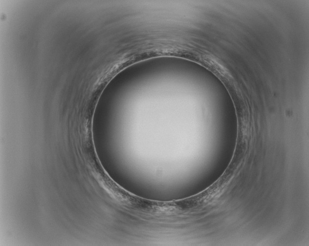 X0000060780401200511241824