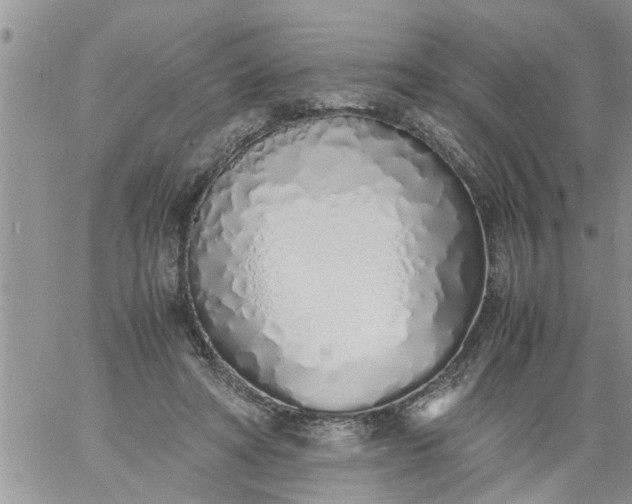 X0000060780402200511241824