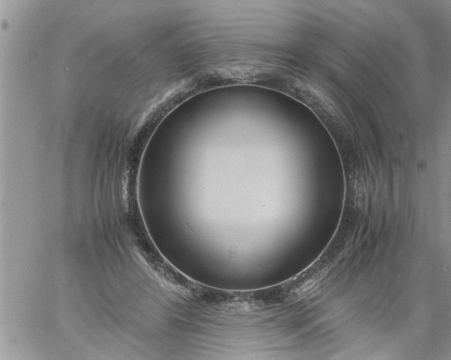 X0000060780404200511241824