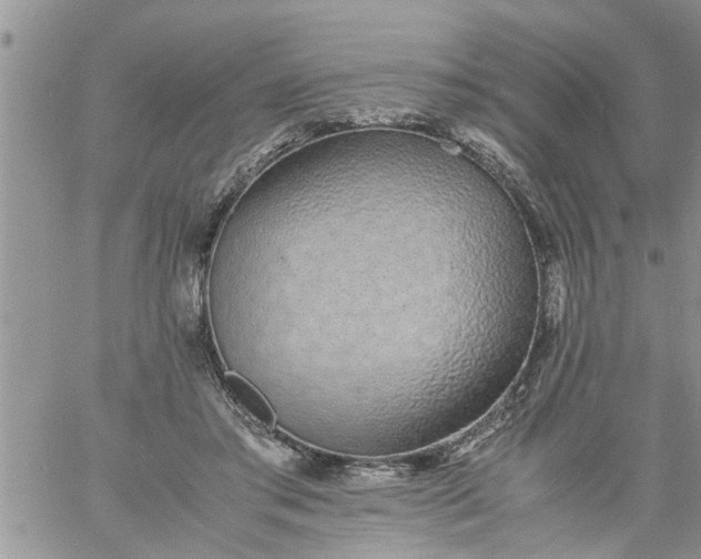 X0000060780405200511241824