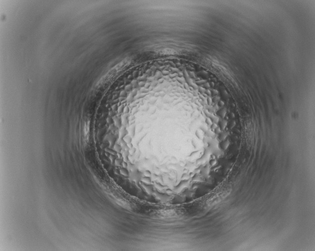 X0000060780406200511241824