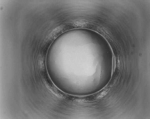 X0000060780408200511241824