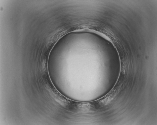 X0000060780410200511241824