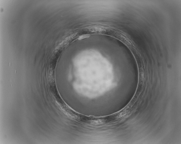 X0000060780411200511241824