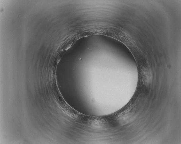 X0000060780412200511241824