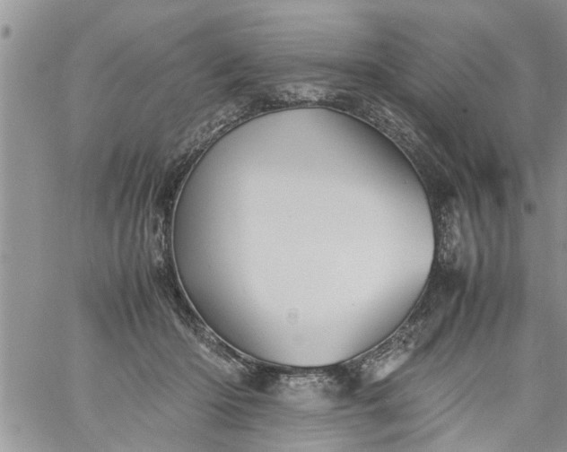 X0000060780414200511241824