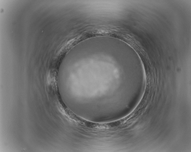 X0000060780415200511241824