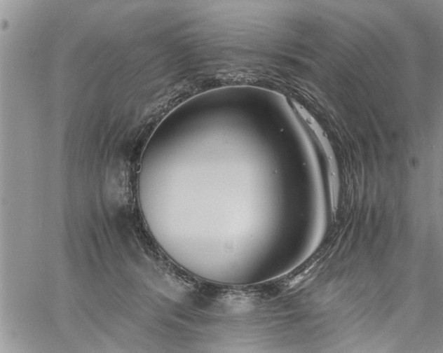 X0000060780416200511241824