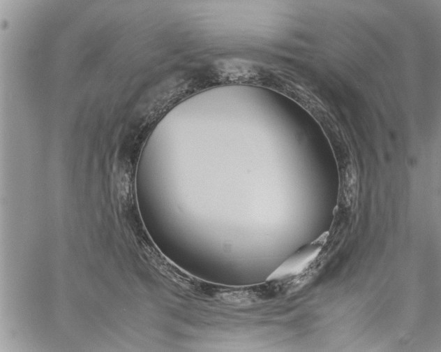 X0000060780417200511241824