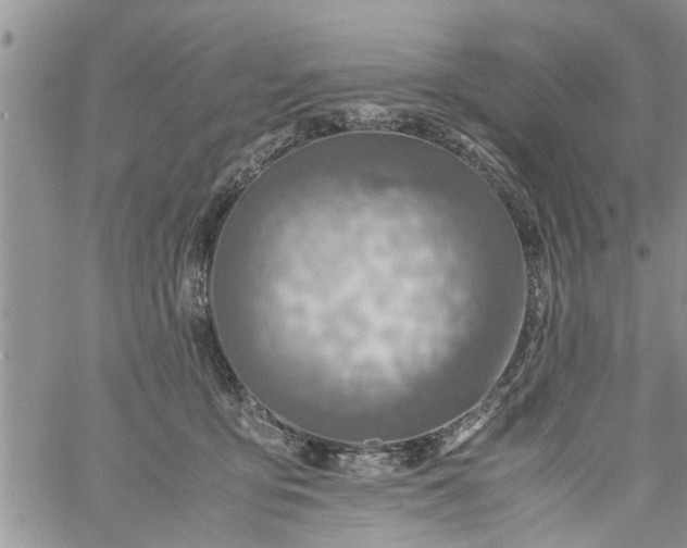 X0000060780419200511241824