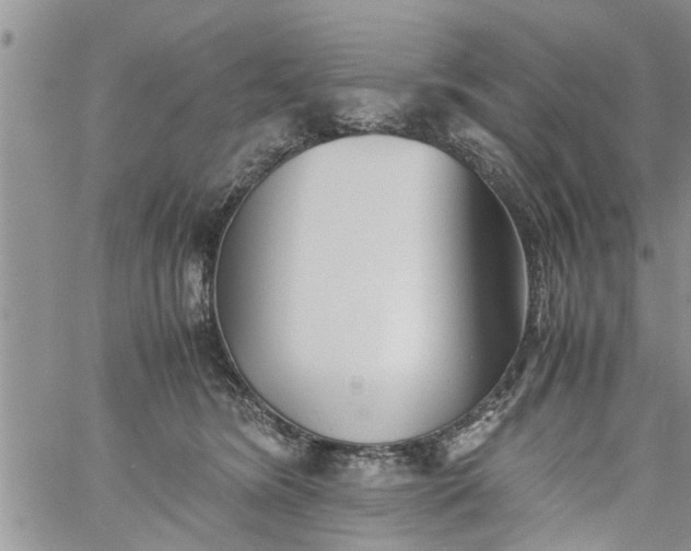 X0000060780420200511241824