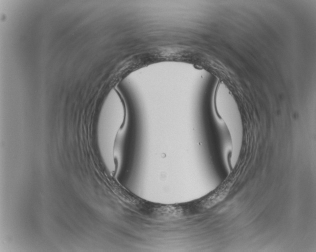 X0000060780421200511241824