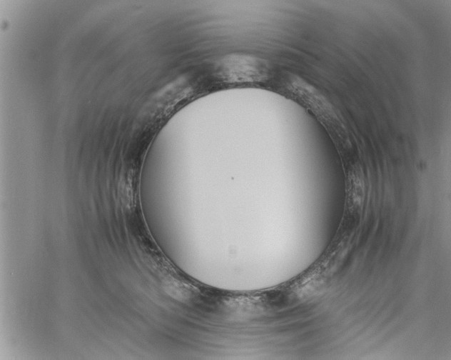 X0000060780422200511241824