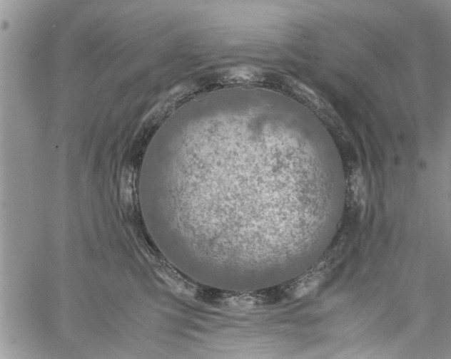 X0000060780423200511241824