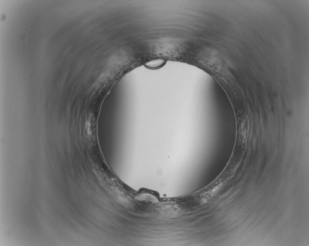 X0000060780424200511241824