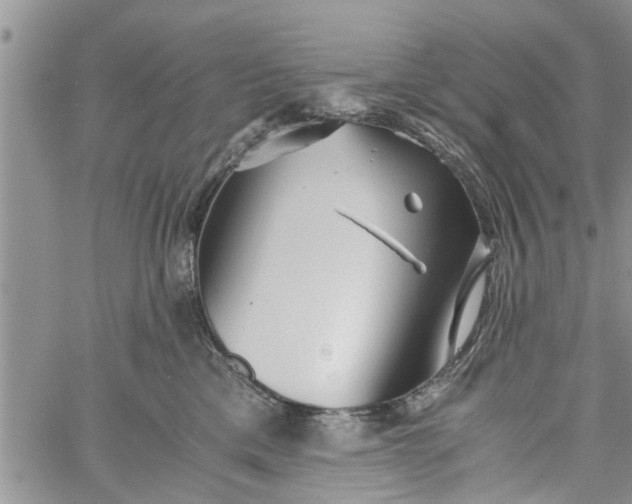 X0000060780425200511241824